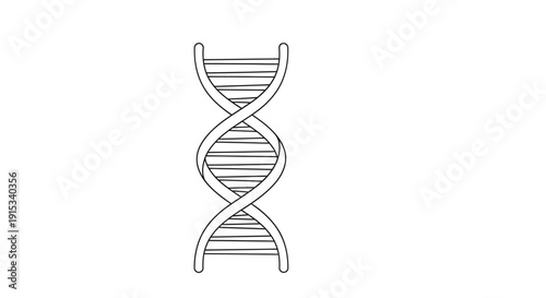 Line drawing of a dna double helix structure on a white background