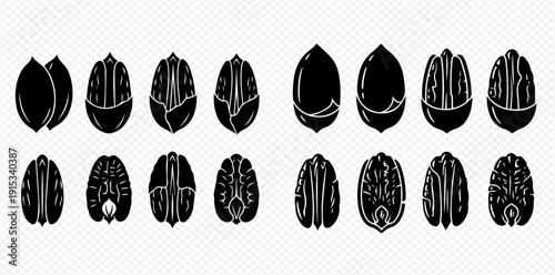 Set of black and white walnut icons, showing whole and cracked nuts, perfect for food and healthy eating designs.