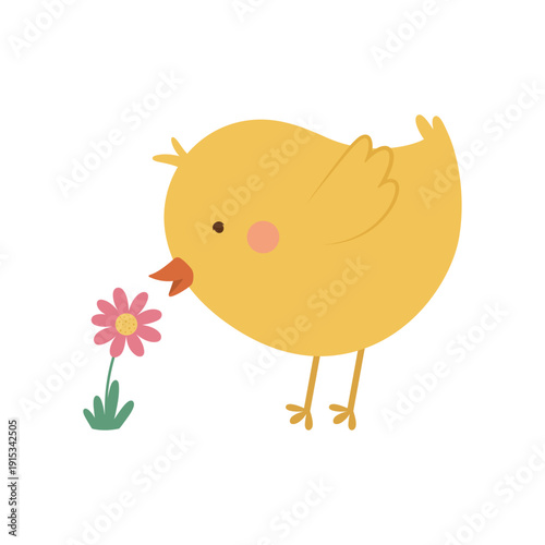 Adorable baby chick sniffing a pink flower in soft pastel colors. Minimal flat style Easter illustration ideal for greeting cards, spring posters and children designs.