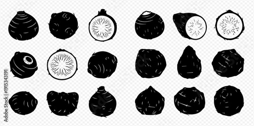 Set of black and white taro root illustrations, whole and sliced, showcasing various shapes and textures for culinary and agricultural designs.