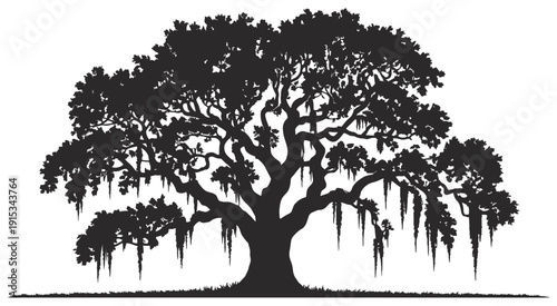 Live Oak Tree Silhouette southern oak tree vector with hanging Spanish moss, isolated on white, nature illustration, landscape design, botanical artwork elements