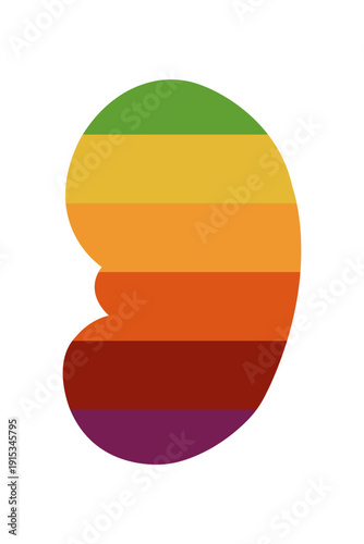 Chronic kidney disease progression concept medical kidney illustration