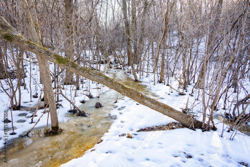 Fresh snowmelt creates an active stream through a Hartland forest, carving erosion zones in a bed that remains dry during summer months.