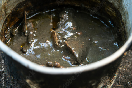 Konstfotografi Cooking relleno negro in a pib, an ancestral Mayo method of cooking in the ground used on the Yucatan Peninsula