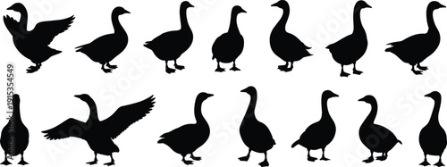 Silhouette Collection Of Geese In Various Poses On White Background goose bird