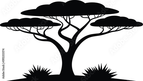 Acacia tree silhouette, African savanna illustration, flat canopy design, wilderness nature art, botanical graphic, landscape element, exotic foliage, decorative resource