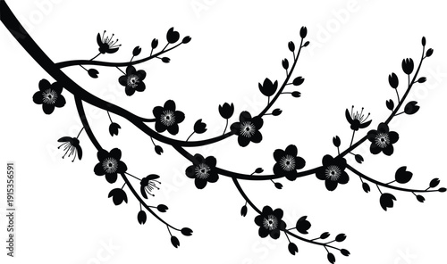 Black silhouette of a blooming cherry blossom tree branch with flowers and leaves