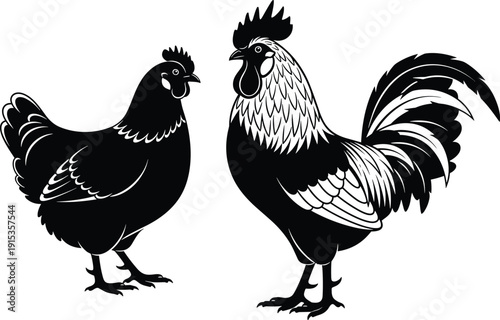 WebBlack and white vector illustration of a rooster and hen, stylized poultry farm animals silhouette isolated on white background, 2026 organic agriculture farm art.