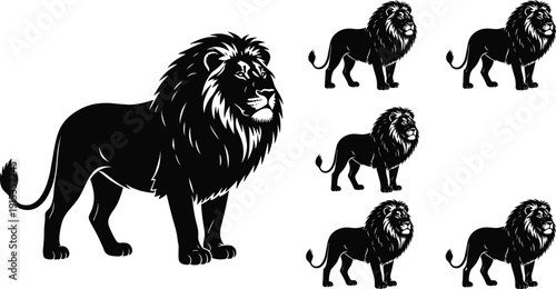 WebMajestic male lion silhouette set with impressive mane in hand drawn engraving style vector illustration isolated on white background for safari wildlife nature decor and power branding