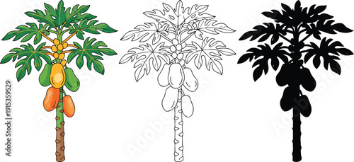 Papaya tree silhouette & Outline and illustration set isolated on transparent background