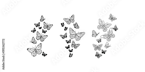 Collection of delicate black and white outline drawings featuring various sizes and arrangements of beautiful flying butterflies