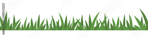 banner with blades of green grass, fresh spring nature background, meadow border design, eco concept, natural lawn template - vector illustration