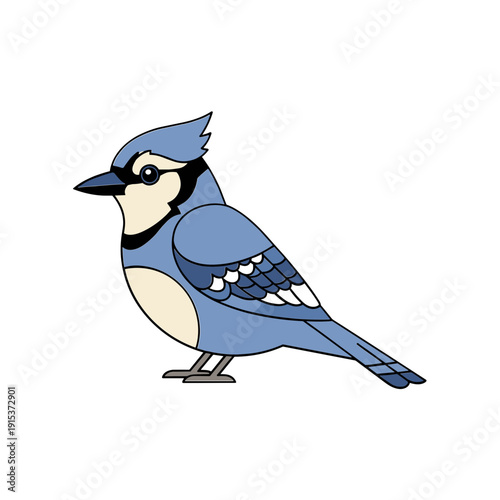 Blue jay bird standing alone profile.