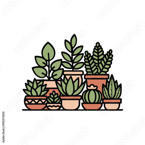 Collection of Various Succulent Plants 1.