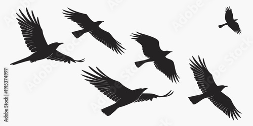 A flock of birds in flight against a white background Vector