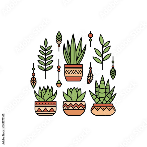 Colorful potted succulent houseplants arrangement.