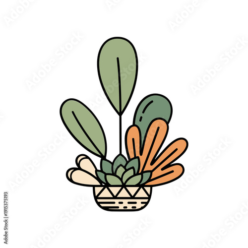 Colorful Succulent Plant in Pot.