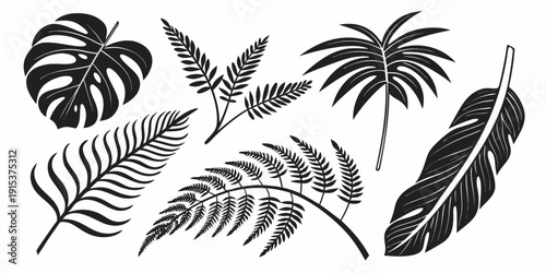 A collection of various tropical leaves and ferns in black and white Vector