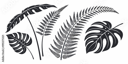 A detailed illustration of various fern leaves showcasing their unique shapes and textures. Vector