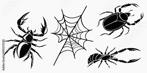 A variety of insects and a spider web showcasing different types of arachnids and insects Vector