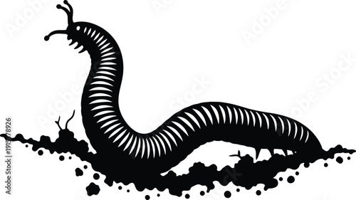 Vector illustration of a cartoon snake on white background