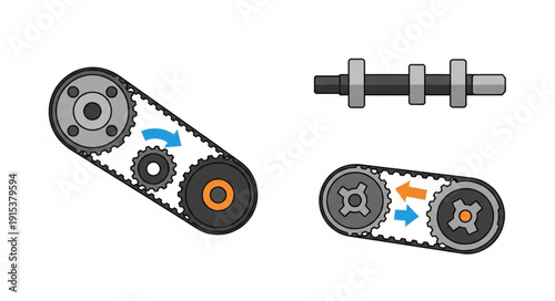Timing Belt and Camshaft Diagram.