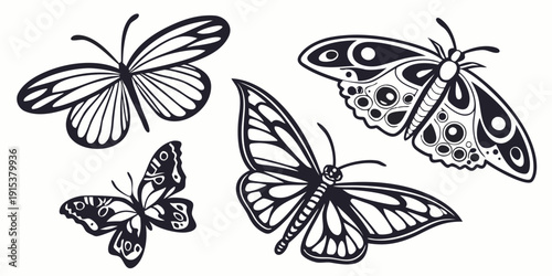 Quadro em tela A collection of four distinct butterflies showcasing their intricate patterns and delicate wings
