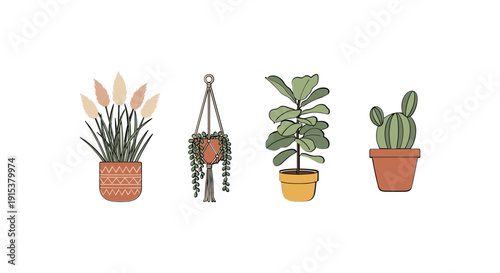 Four Different Types of Potted Plants.