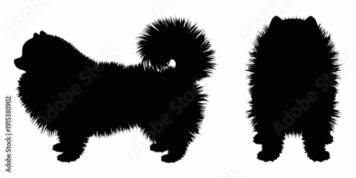 Silhouettes of two fluffy pomeranian dogs facing different directions