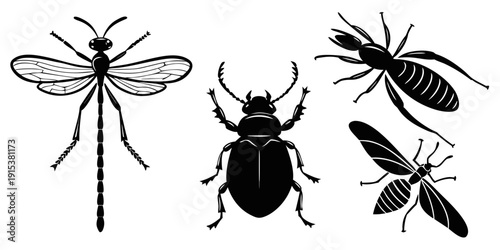 A variety of insects including flies, mosquitoes, and beetles in black and white illustration Vector