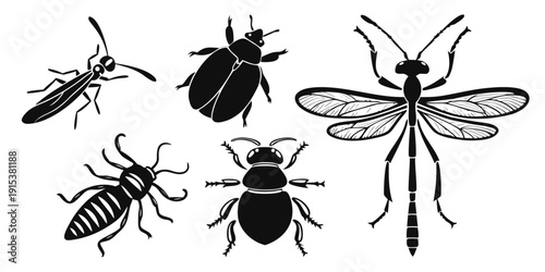 Assorted insects including flies, beetles, and mosquitoes in black and white Vector