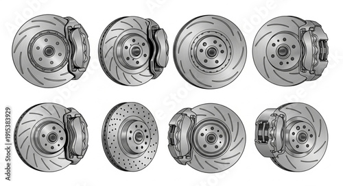 Vintage Scientific Illustrations of Shells.
