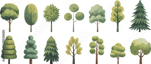 Flat Vector Illustration Set of Various Green Trees and Conifers Isolated on White Background for Sustainable Environment Nature and Landscape Graphic Design Projects