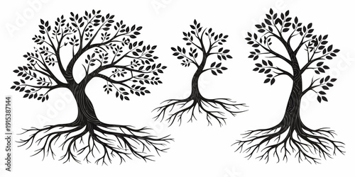 Three distinct trees with intricate roots and branches depicted in black and white Vector