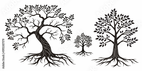 Two distinct trees, one with full foliage and the other with sparse branches, standing side by side. Vector