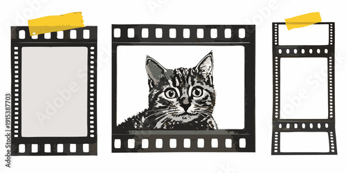 Three film strips with a cat portrait and blank frames displayed