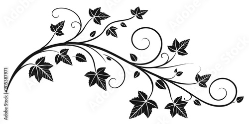 Intricate black and white floral design with swirling leaves and vines Vector