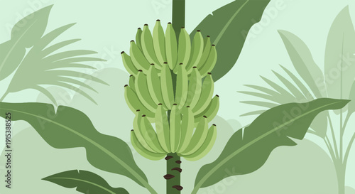 A close-up illustration of a bunch of unripe green bananas on a stalk, surrounded by lush foliage