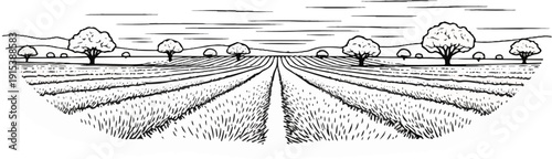 A hand-drawn black and white landscape of rolling fields and trees under a cloudy sky