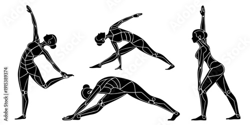 Group of people performing various yoga poses in a line. Vector
