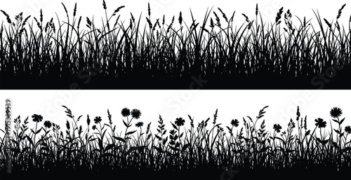 Silhouette border of tall grass and wildflowers, isolated on white background for botanical decoration, nature illustration, landscape design, outdoor graphics and creative vector projects.