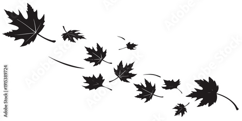 A group of falling maple leaves in a diagonal line against a white background Vector