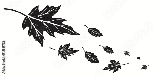 A single leaf with smaller leaves trailing behind it in a line Vector