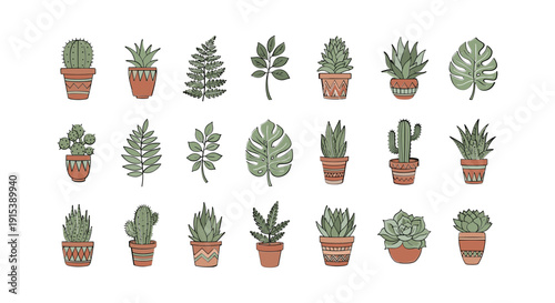 Variety of Potted Cacti and Succulents 1.