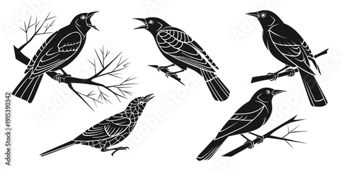 A variety of birds perched on branches in a natural setting. Vector