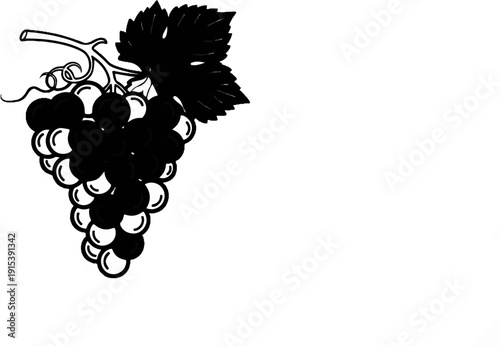 A cluster of dark grapes with a leaf and stem on a white background