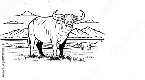 A detailed line drawing of a large water buffalo in a grassy landscape
