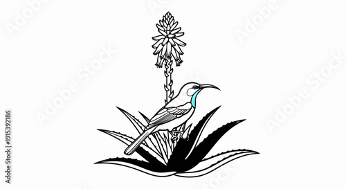 A detailed black and white illustration of a bird perched on succulent plant with bloom