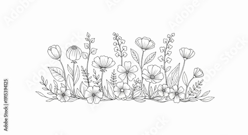 A delicate pencil sketch of a variety of wildflowers and foliage