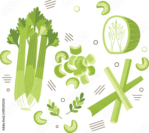 Celery Vegetable Illustration Set Fresh Green Stalks and Slices Healthy Organic Food Ingredient for Cooking and Diet Vector Collection
